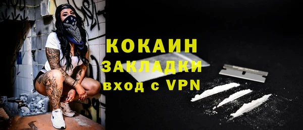 крисы Баксан