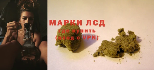 крисы Баксан