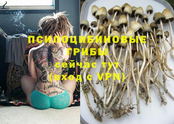 твердый Балахна