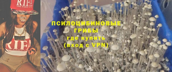 крисы Баксан