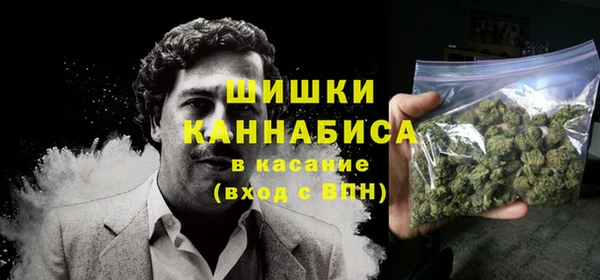 крисы Баксан