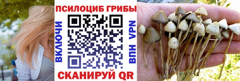 Псилоцибиновые грибы Magic Shrooms что такое Макаров